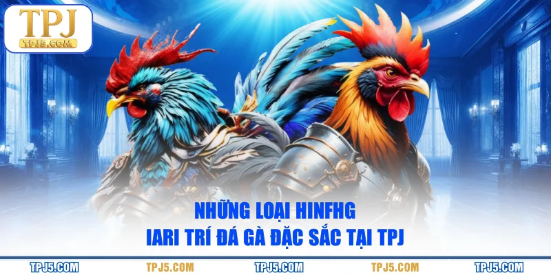 Những loại hình giải trí đá gà đặc sắc tại TPJ